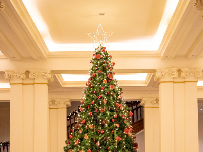 Christmas Tree Lighting at Galle Face Hotel news