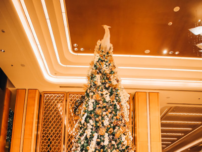 Shangri-La Colombo Unveils a World of Enchanted Tropical Wonders news